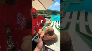 Squishy Monkey Takes Over Water Slide!