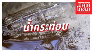 น้ำกระท่อม | เอคโค่โภชนา