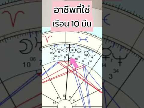 อาชีพที่ใช่ เรือน 10 ราศีมีน