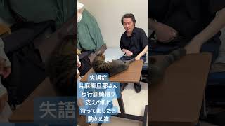 ダーリンはかわいい失語症　歩行訓練帰り、支えの机に待ってましたと動かぬ猫カメラ目線！#失語症 #片麻痺 #猫 #リハビリ #猫のいる暮らし