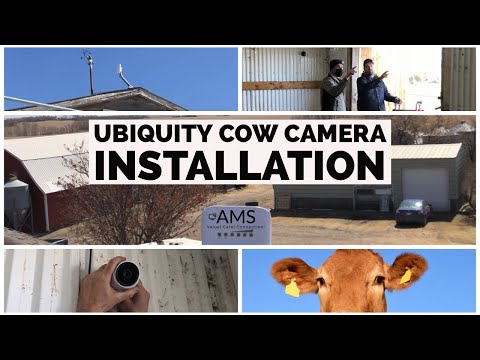 Ubiquiti Security Cameras Installation (watch over your livestock)