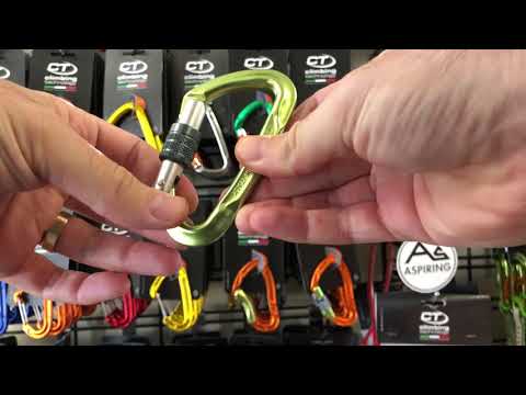 CT Lime Screw Gate Carabiner