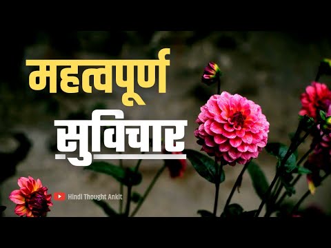 महत्वपूर्ण सुविचार | Aaj ka Suvichar |Daily Suvichar | Most Motivational Suvichar | Hindi Thought