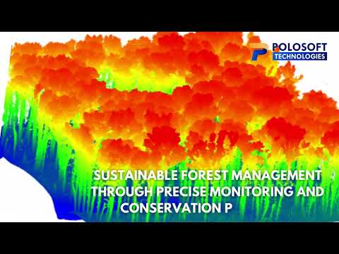 Image Overlay and Colorizing Forest Insights with LiDAR | LiDAR Data | Polosoft Technologies