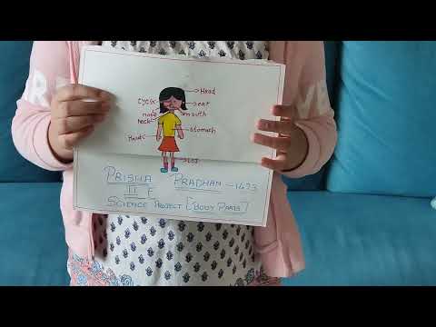 2 standard science project