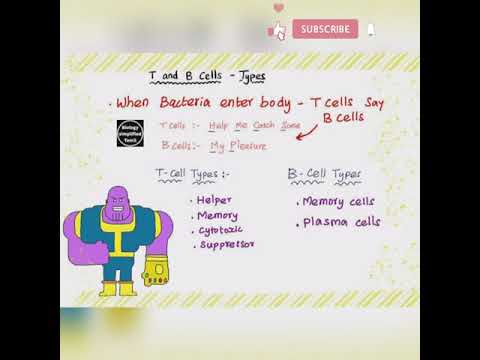 Trick to learn T and B lymphocytes #shorts #neet #tricks #biology #knowledge #facts #whatsappstatus