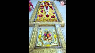 #saibabalivedharshana #shortvideo