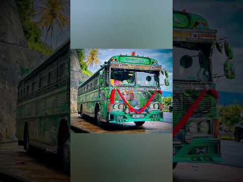 #BUS#SRI LANKA#APPLE ඇපල් කොම්ලා