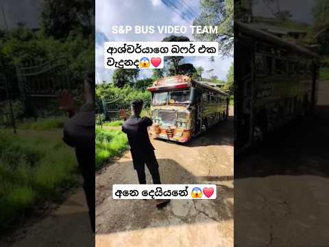 බෆර් එක වැදුනාද❤️😱#busworld #automobile#newbusvideo #vahicles#slvehicles#dhamrejini #trending#driver