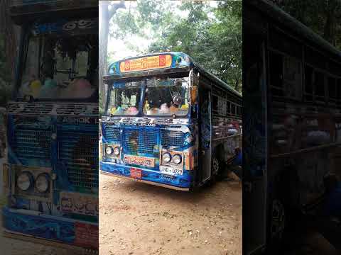 සුර දූතිකාගේ අලුත් photo එකතුවක් like & subscribe