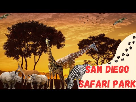 Safari Park Ride-San Diego Zoo Safari Park.