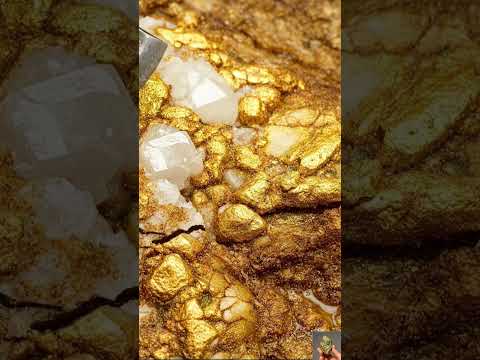 Gold Quartz 🪙😮 #GoldRush #Quartz
