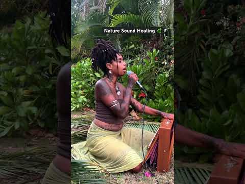 Nature Sound Healing 🌿