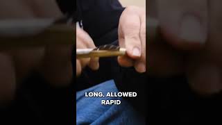 Native American Archery: Unveiling Nature's Powerful Engineering