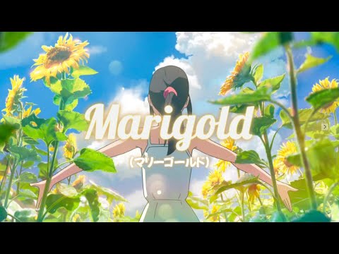 마리골드 (マリーゴールド) - Aimyon (あいみょん)┃Miel Cover