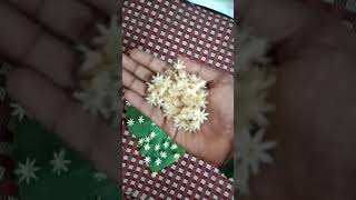 அனுஷம் நட்ச்திரத்திர மலர் anusham star secret flower #astro ganesh