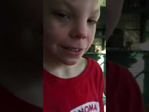 Food, Poop, and My Kid's Brain-Day 10 -Tasting Cultured Veggies