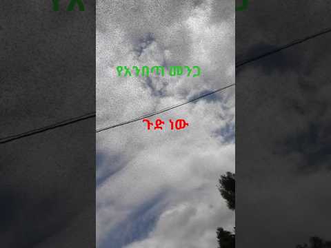 የአንበጣው መንጋ ወረራ