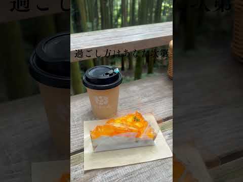 【福岡糸島】絶対行くべきカフェ