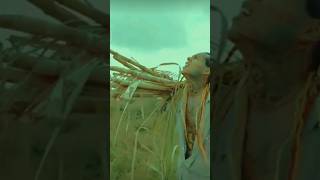 6ix9ine#6ix9ine 🥵🥵new shits video #6969