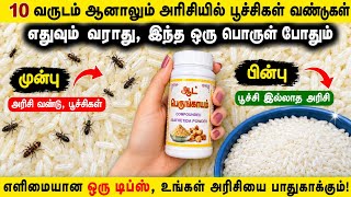 10 வருடம் ஆனாலும் அரிசியில்  வண்டுகள்எதுவும் வராது, இந்த ஒரு பொருள் போதும்@keerthisaratips5728 