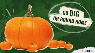 The Economics of Pumpkin Patches | Hustlenomics