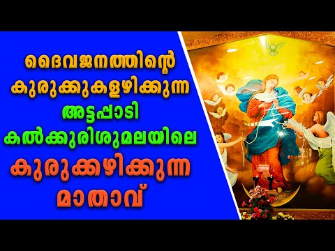 ദൈവജനത്തിന്റെ കുരുക്കുകളഴിക്കുന്ന അട്ടപ്പാടി കൽക്കുരിശുമലയിലെ കുരുക്കഴിക്കുന്ന മാതാവ്.
