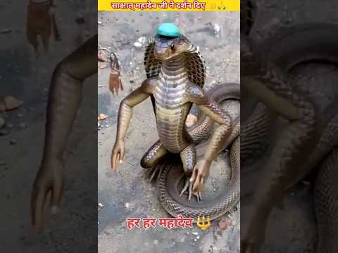এটা কি রকমের আকৃতি 🪱🙏#shorts #viral #viralvideo