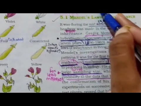 Principles of inheritance and variation NCERT -2 line to line #biology#neet#neet2026 #ncert #class12