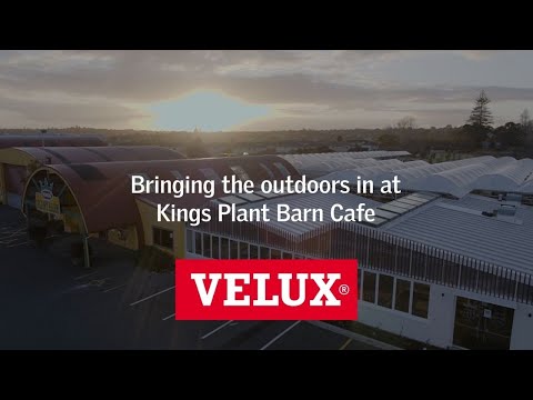 Kings Plant Barn Cafe Case Study - VELUX Skylights