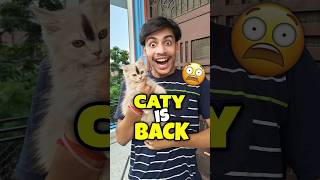 Caty Is Back 💀😱 | Mini Vlog #shorts #minivlog #ashortaday #vlog #tranding #cats #cat