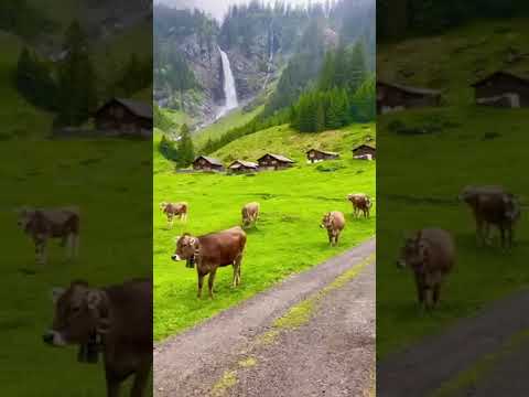 switzerland #travel #trip #iphone15promax