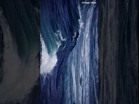 🌊 Into the Deep Blue – Nature’s Hidden Ocean Secrets 🌊 | Relaxing Ocean Vibes