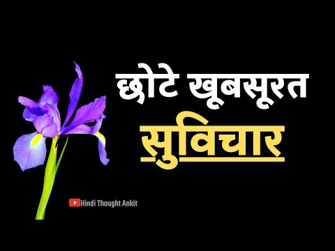 छोटे खूबसूरत सुविचार | Aaj ka Suvichar | Quotes, Motivational, Vachan | Hindi Thought