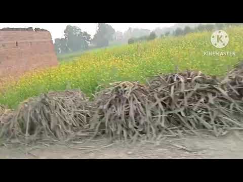 Ye kaha ka khet hai