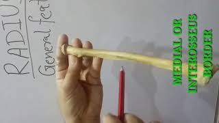 RADIUS PART-1 - GENERAL FEATURES BY DR MITESH DAVE