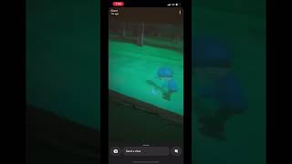 Wii sports golf victory