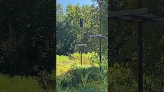Natural Pest Control in my neighborhoods