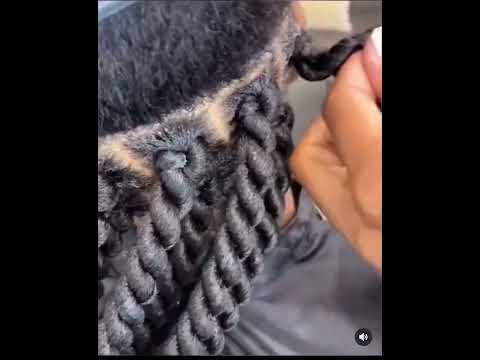Protective-style ✨ twist tutorial ❤️‍🔥#naturalhair#hair#amazing