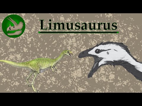 The Toothless Ceratosaur | Limusaurus