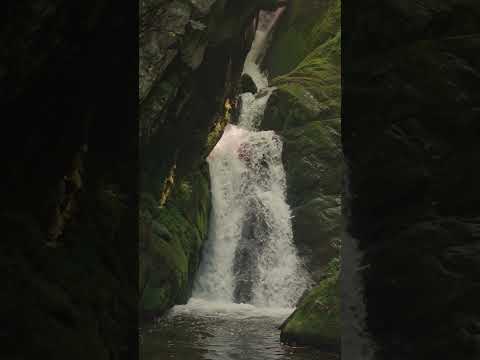 Waterfall #nature #natureandwellness #natureview #earth #life #greenry #vegetation #water #birds
