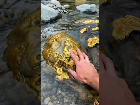Gold or Not? Comment Your Opinion🪙😮  #golddiscovery  #gold #goldrush #goldnugget #goldmining