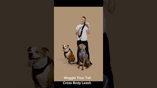You need this cross body leash, to walk multiple dogs. #creator #pets #dogshorts