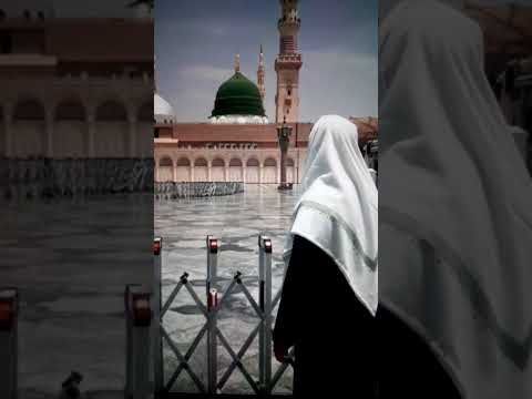Jashn e Amad e Rasool - Farhan Ali Qadri #islam #freepalestine #shorts #youtubeshorts #shortvideo