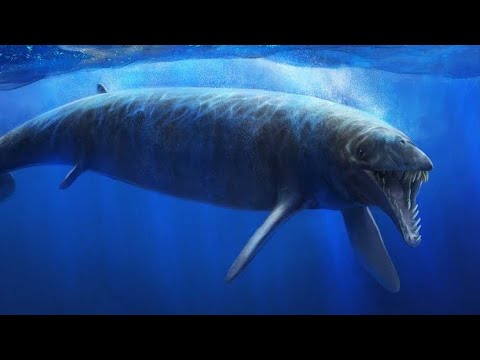 Basilosaurus Sounds
