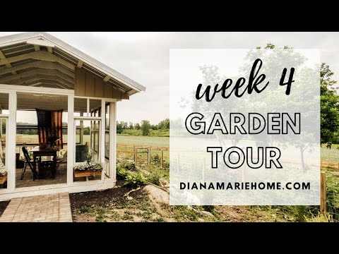 Week 4 Garden Tour WHAT WOULD YOU DO?? | Diana Marie Home