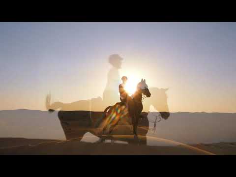 FREEDOM RIDES | Basil Bashir
