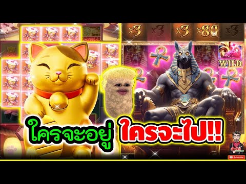 สล็อต สล็อตpg เฮียริช ใครจะอยู่ ใครจะไปมาดูกัน!