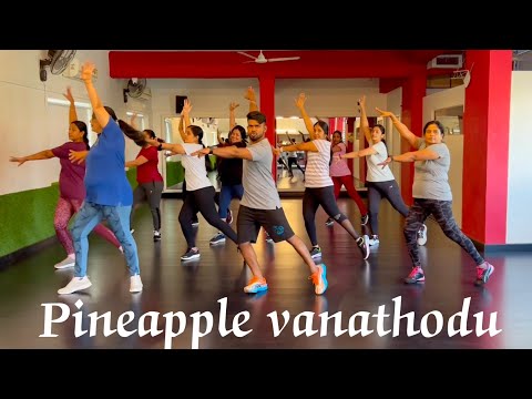 Pineapple Vanathodu(zumbadance)|karthykeyan|dancewithKK|springboots|zumba