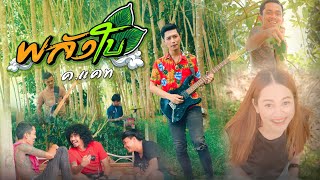 พลังใบ ค.แคท【OFFICIAL MV】
